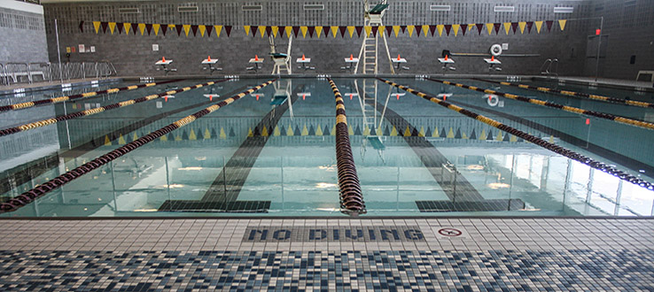 The campus pool is open for both serious athletes and recreational swimmers.