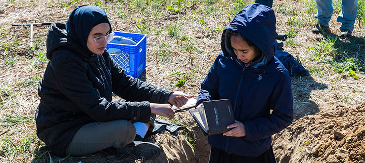 Students examining soil profiles in the field