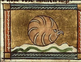 A 14th-century image of a medieval oyster from The Hague, KA 16.