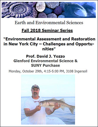Environmental Assessment and Restoration in New York City – Challenges and Opportunities