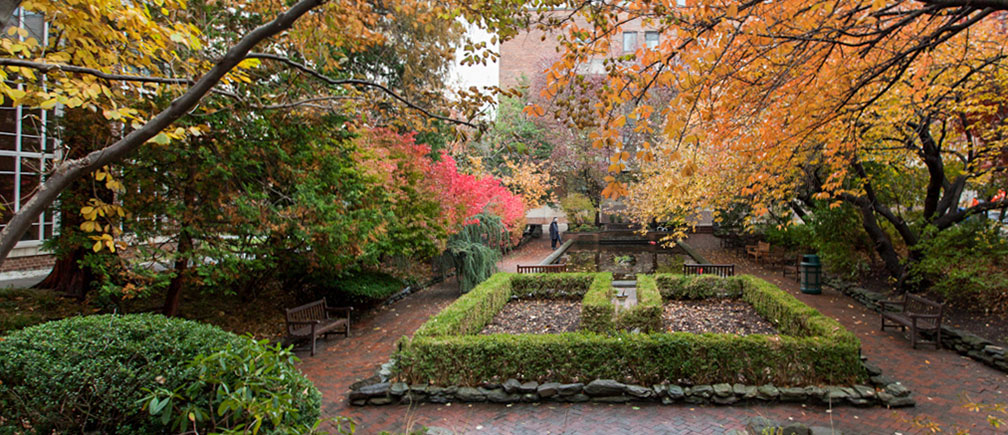 brooklyn colleges