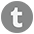 Tumblr brand icon