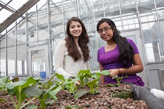 Samantha Vouyiouklis (left) and Tanzina Nawrin enjoy observing the plant life that grows in the Brooklyn College Greenhouse.