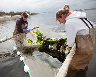 Brooklyn College students assessing the damage in Jamaica Bay after Hurricane Sandy battered the New York coastline in 2012. 