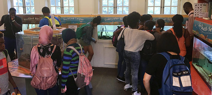 Students are learning about new aquatic creatures at the Prospect Park Audubon Center!