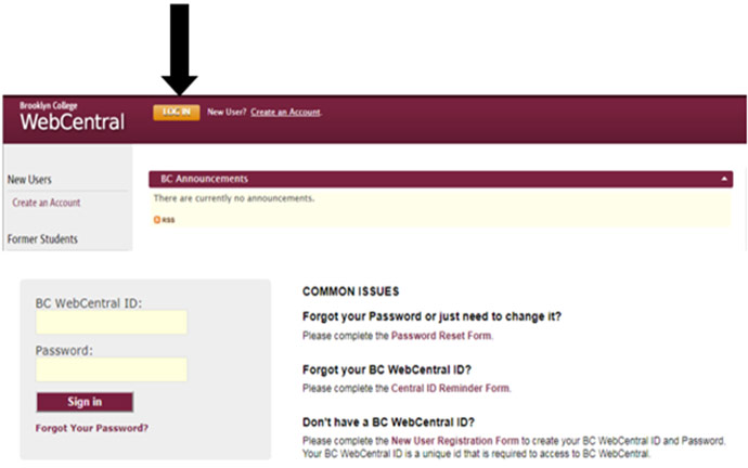 Log into the Brooklyn College WebCentral Portal.